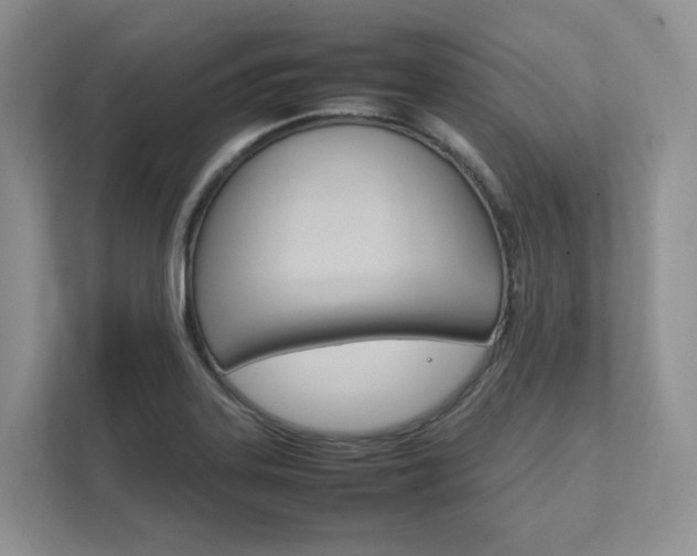 X0000111951323200907271027