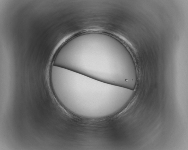 X0000111951325200907271027