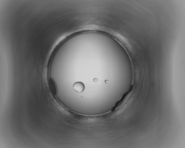 X0000111951326200907271027
