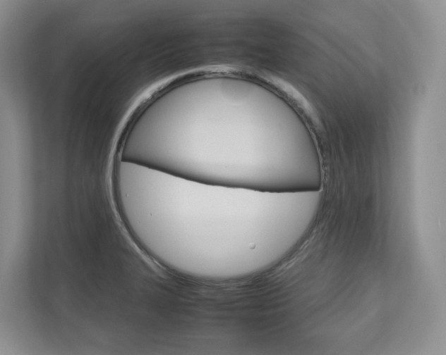 X0000111951327200907271027