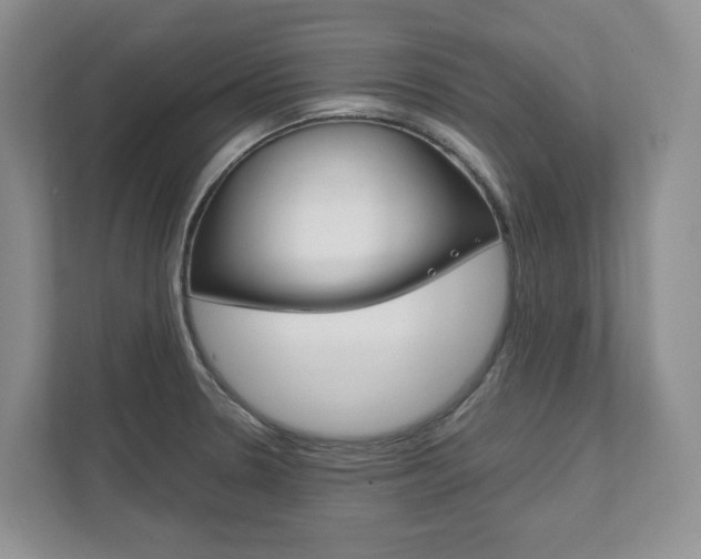X0000111951330200907271027