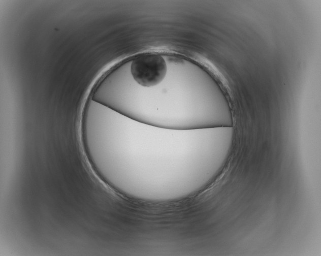 X0000111951331200907271027