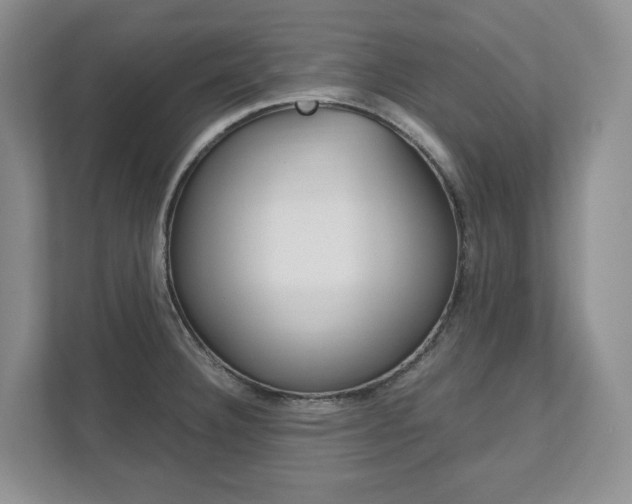 X0000111951332200907271027
