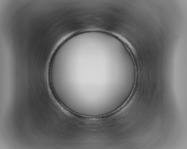 X0000111951333200907271027
