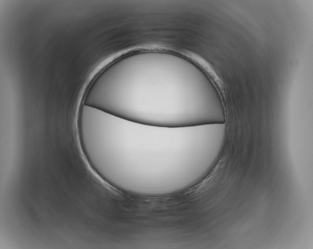X0000111951335200907271027