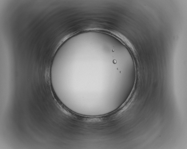 X0000111951337200907271027