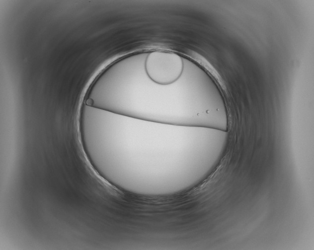 X0000111951339200907271027