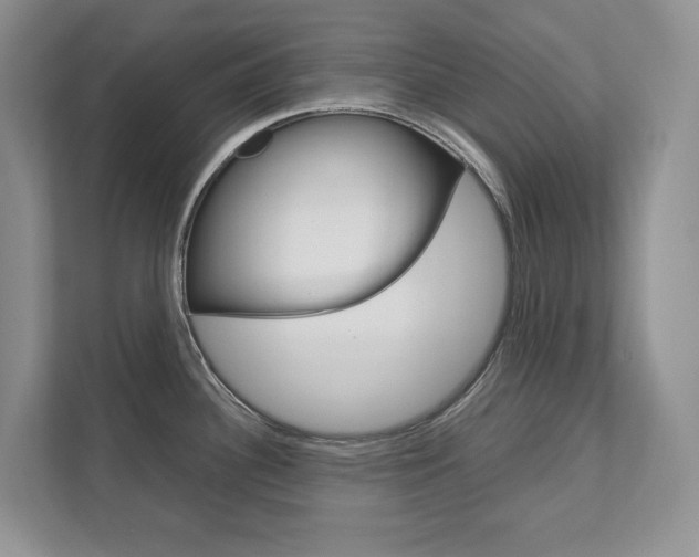 X0000111951340200907271027