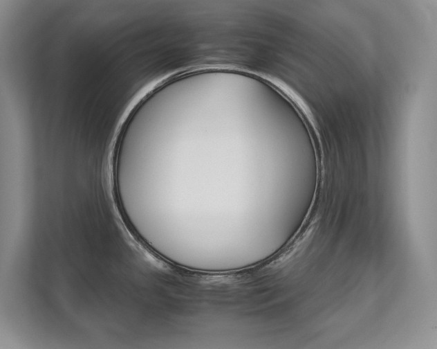X0000111951341200907271027