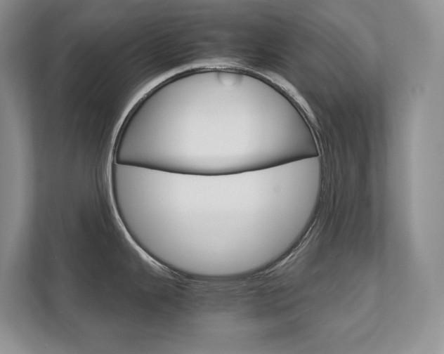 X0000111951343200907271027
