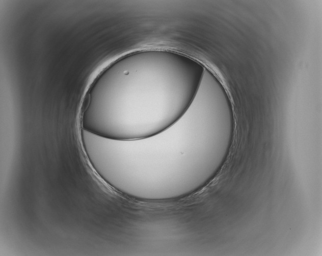 X0000111951344200907271027