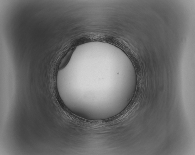 X0000111951345200907271026