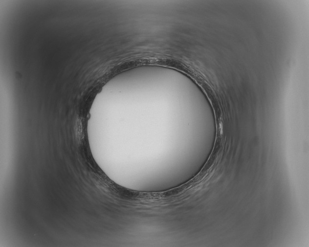 X0000111951347200907271026
