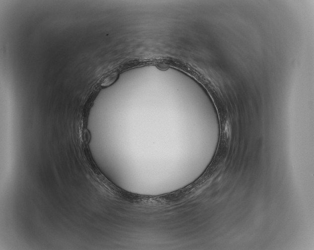 X0000111951348200907271026
