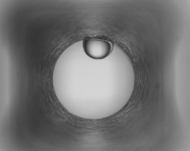 X0000111951349200907271026