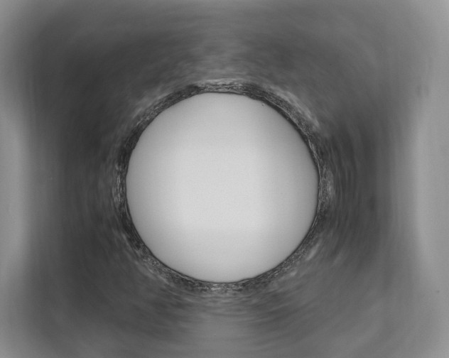 X0000111951350200907271026