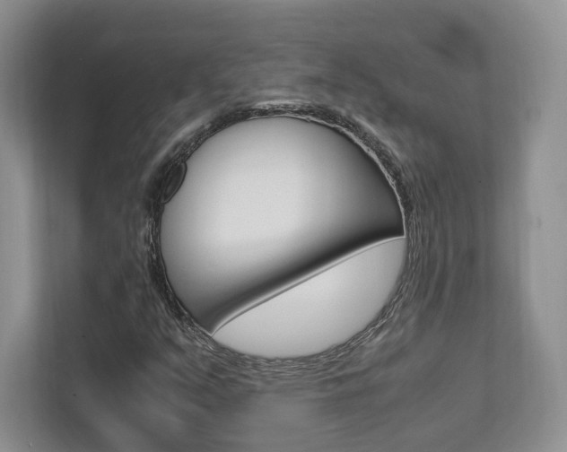 X0000111951351200907271026