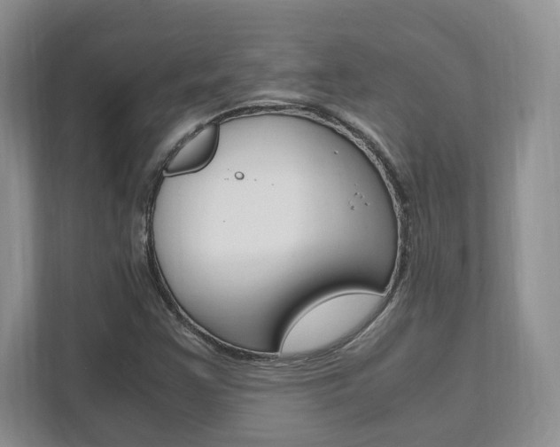 X0000111951355200907271026