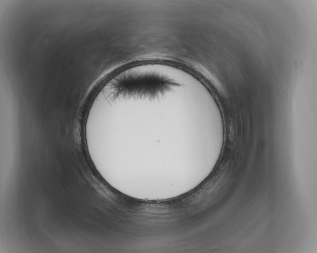 X0000111951356200907271026