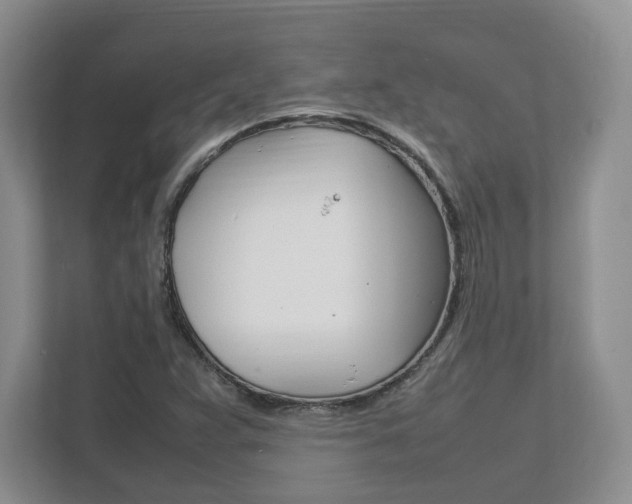 X0000111951359200907271026