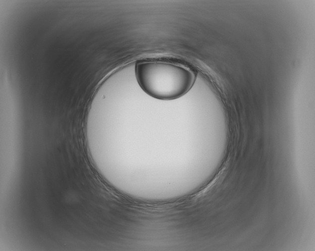 X0000111951361200907271026