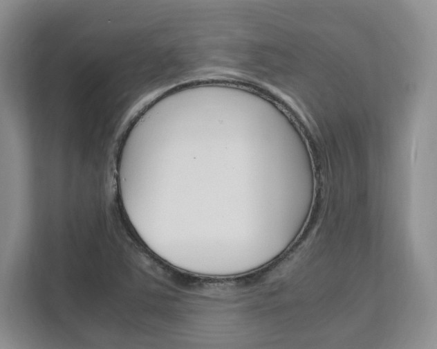 X0000111951363200907271026