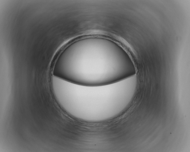 X0000111951364200907271026