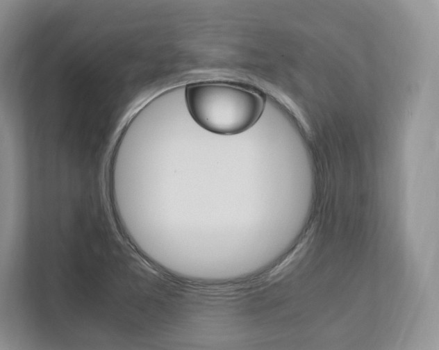 X0000111951365200907271026