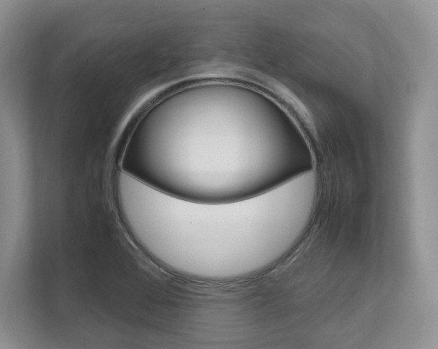 X0000111951368200907271026