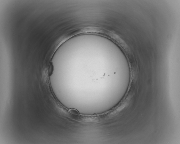 X0000111951369200907271026