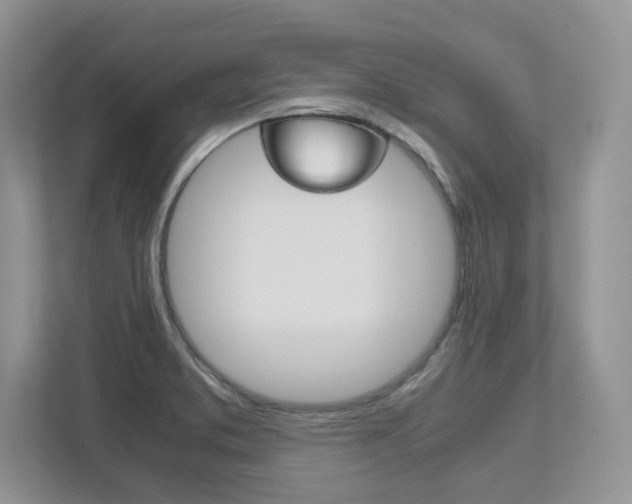 X0000111951373200907271026