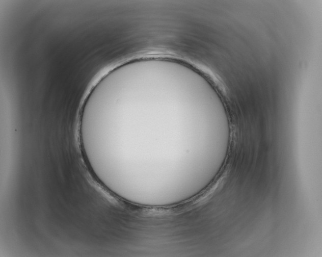 X0000111951374200907271026