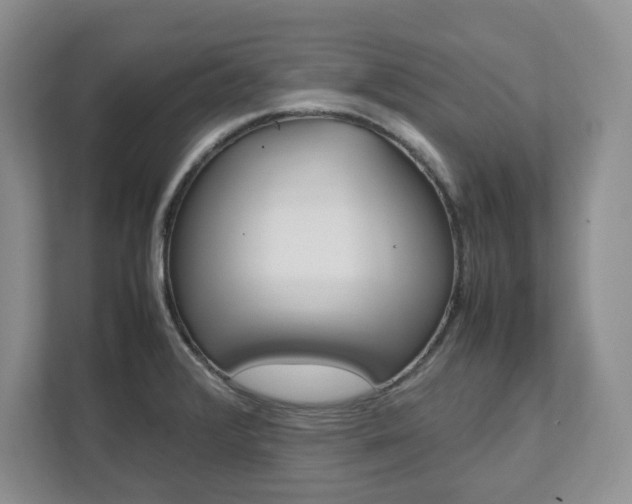 X0000111951376200907271026