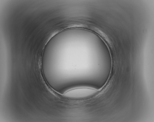 X0000111951377200907271026