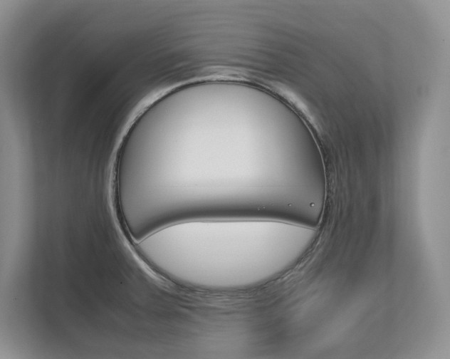X0000111951379200907271026