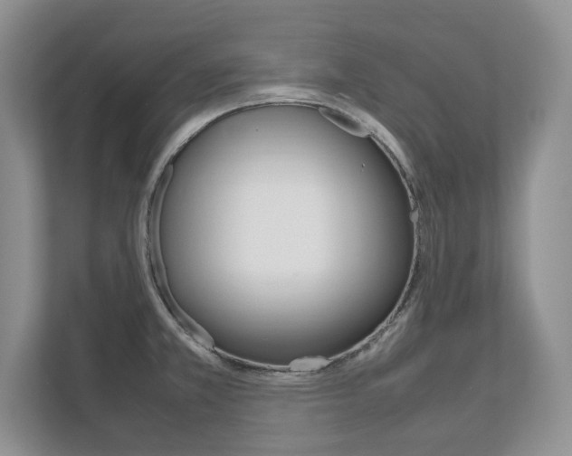X0000111951381200907271026
