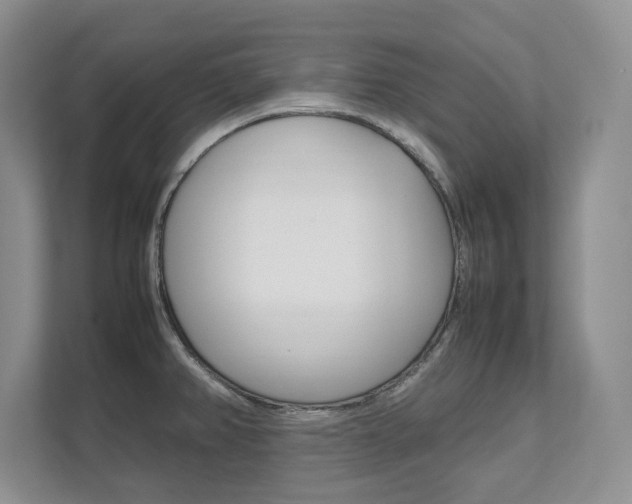 X0000111951382200907271026