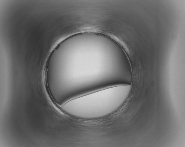 X0000111951383200907271025