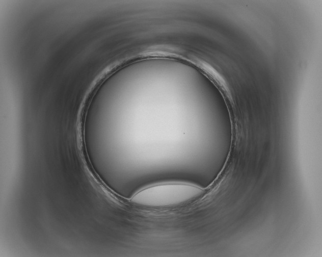 X0000111951384200907271025
