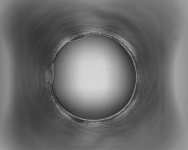 X0000111951385200907271025