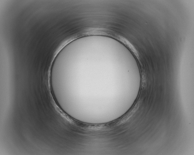 X0000111951386200907271025