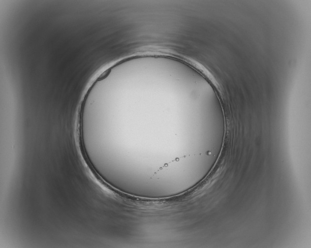 X0000111951387200907271025