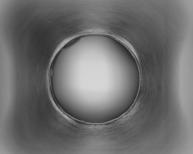 X0000111951389200907271025