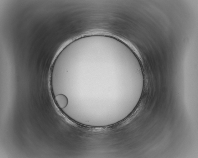 X0000111951390200907271025