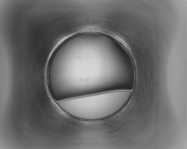 X0000111951392200907271025