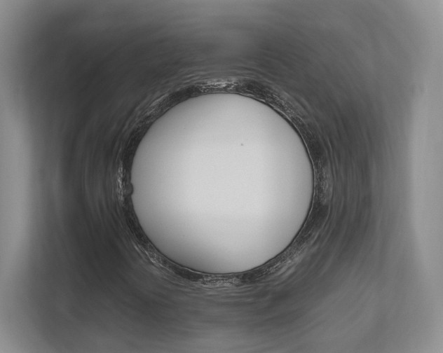 X0000111951394200907271025