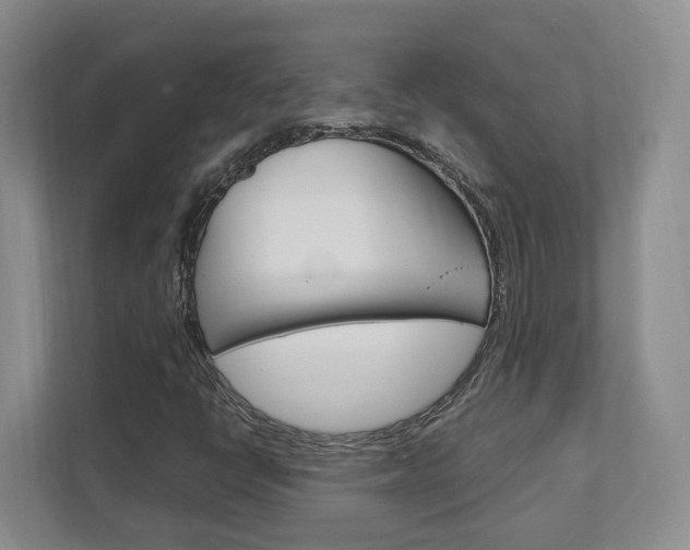X0000111951398200907271025