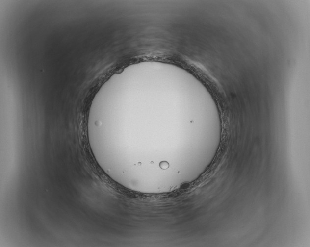 X0000111951399200907271025