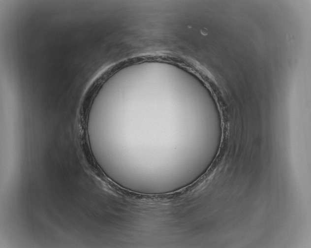 X0000111951400200907271025