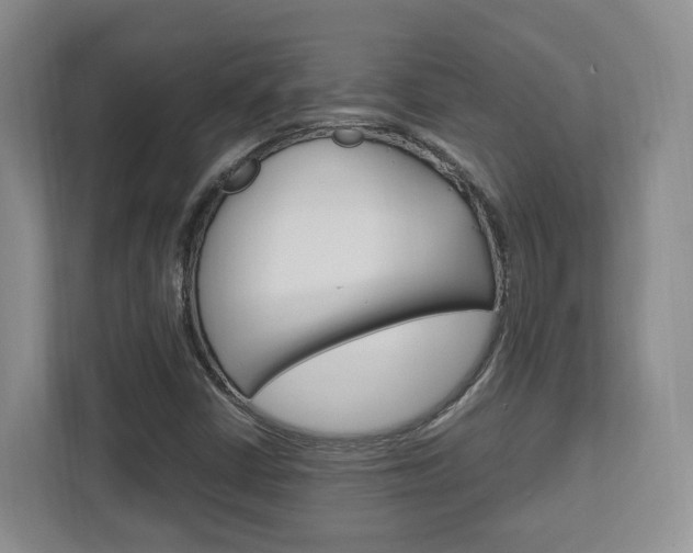 X0000111951402200907271025